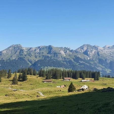 2-Zimmer Ferienwohnung Im Toggi Wattwil Экстерьер фото