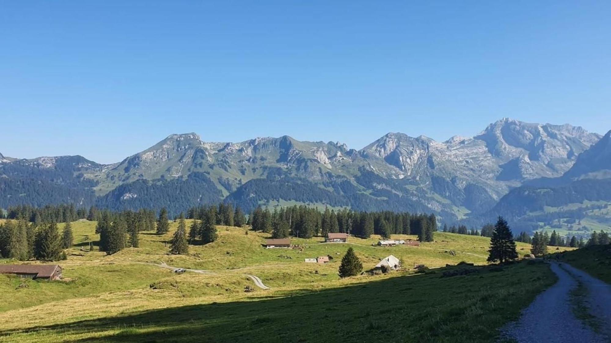 2-Zimmer Ferienwohnung Im Toggi Wattwil Экстерьер фото